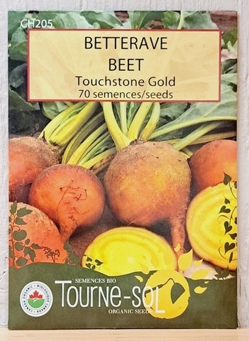 SEEDS - Beet Touchstone Gold (Tourne-sol)